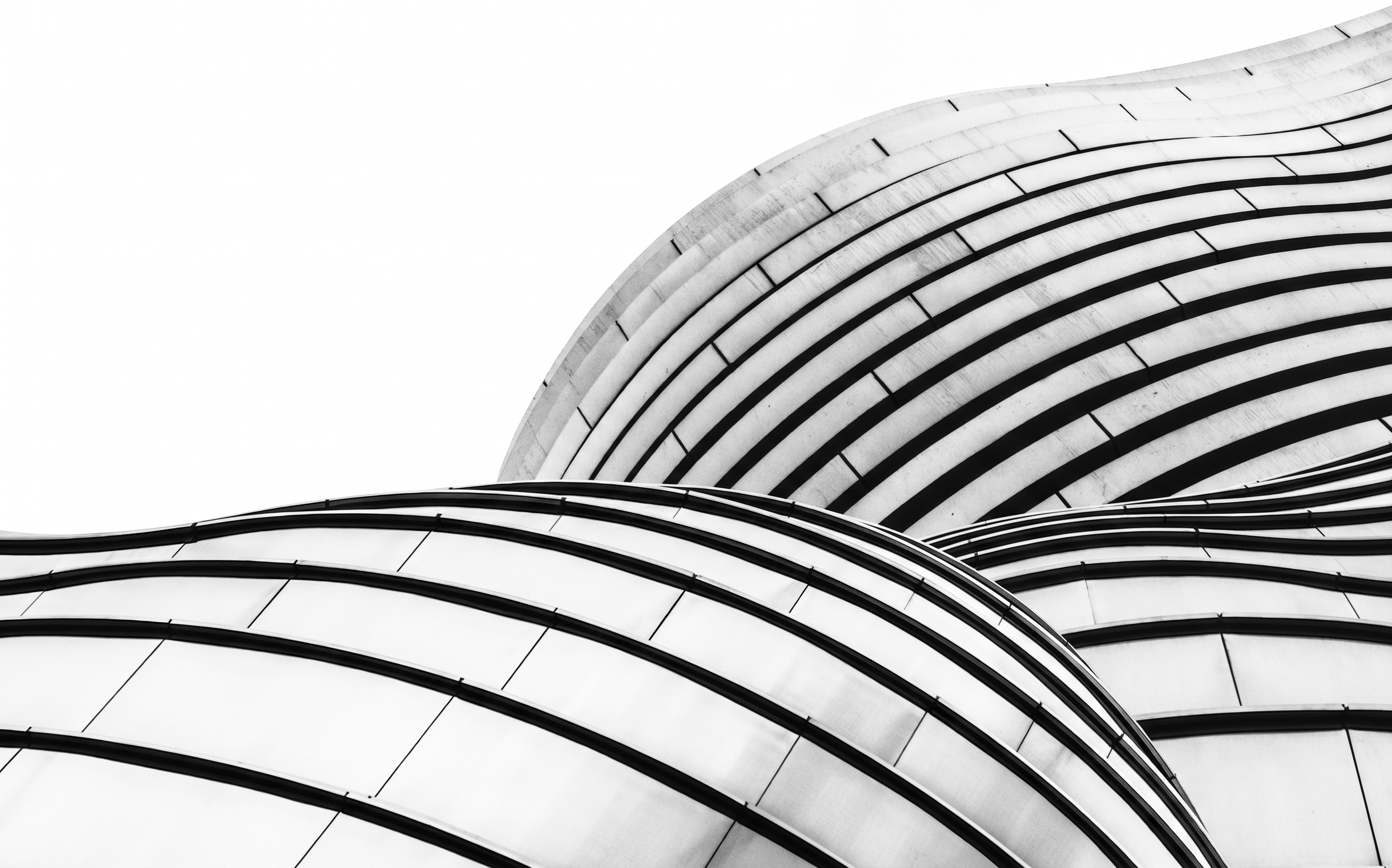 ddad2.jpeg